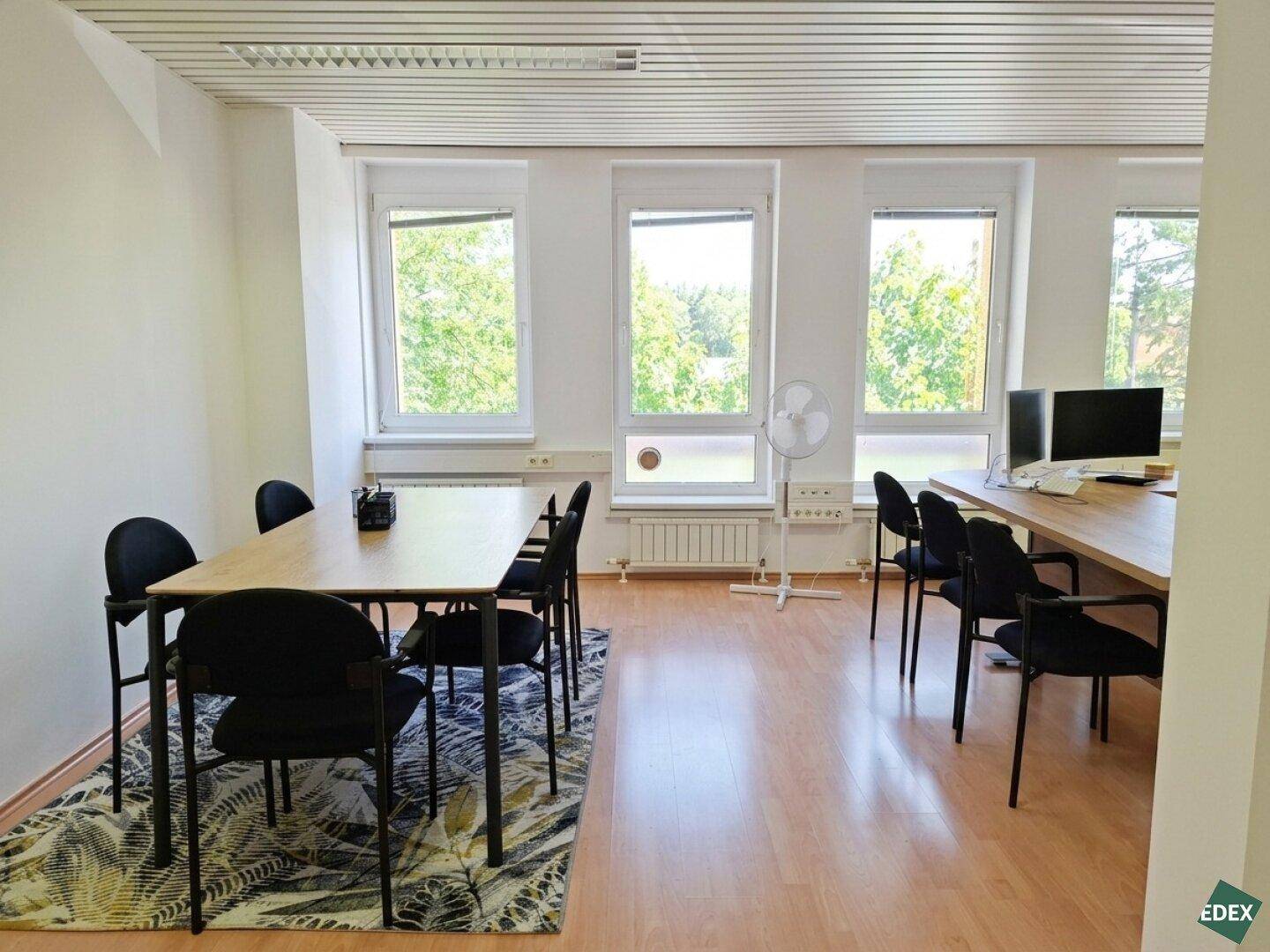 Helles und funktionales Büro mit Besprechungstisch und Blick ins Grüne durch die Fenster.