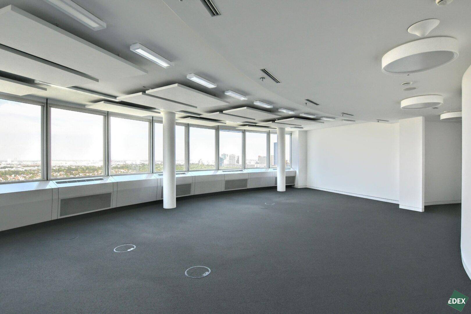 Großzügiger Büroraum mit Teppichboden, bodentiefen Fenstern und moderner Beleuchtung, ideal für flexible Arbeitsbereiche.