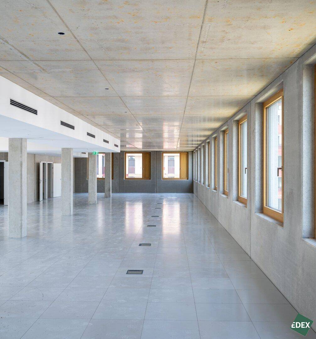 Geräumiger, unmöblierter Büroraum mit Sichtbetondecke, Fliesenboden und vielen Fenstern für natürliches Licht.