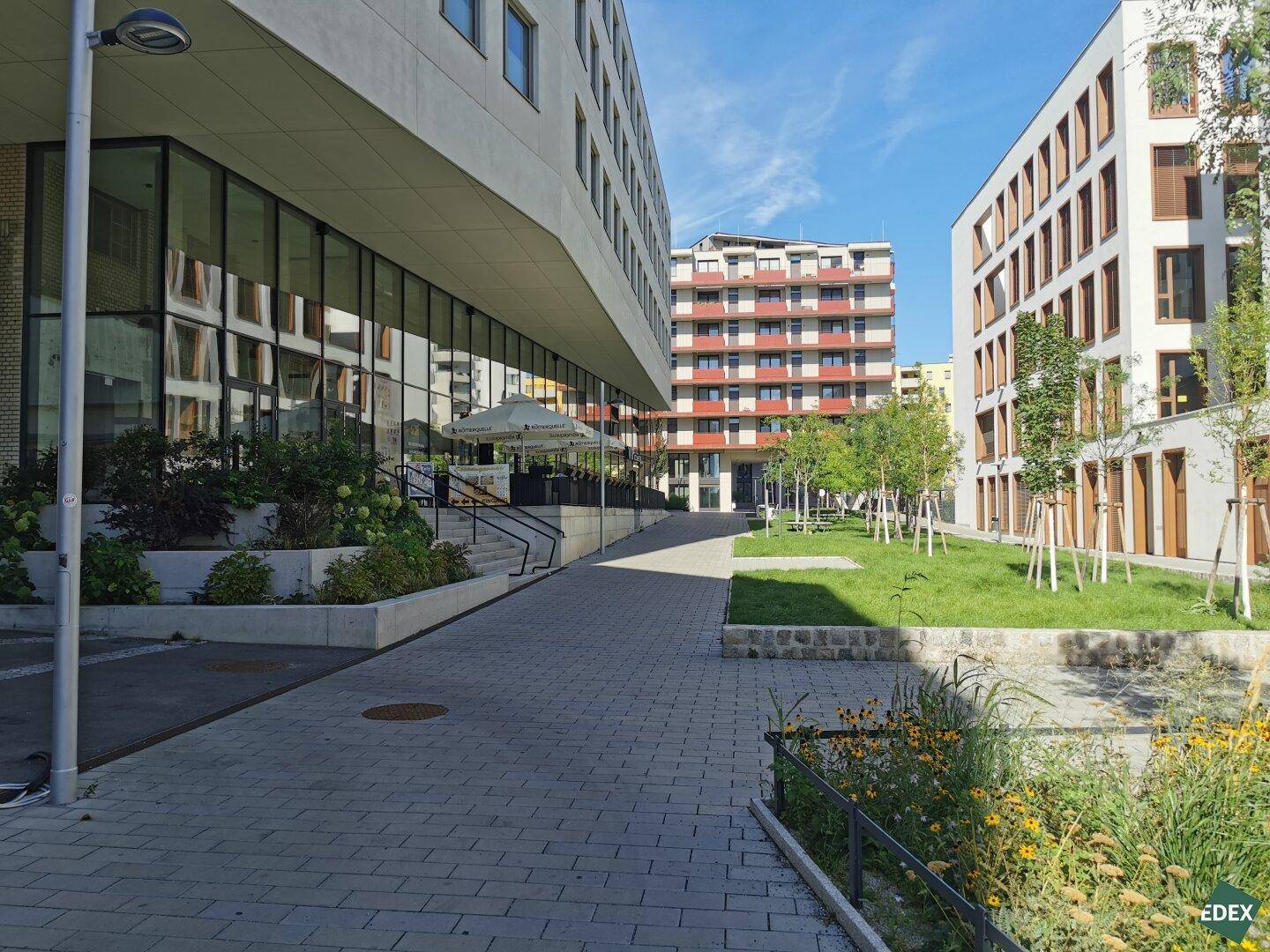 Moderne Gebäudefassade mit großen Glasflächen, umgeben von Grünflächen, Bäumen und einem gepflasterten Weg.
