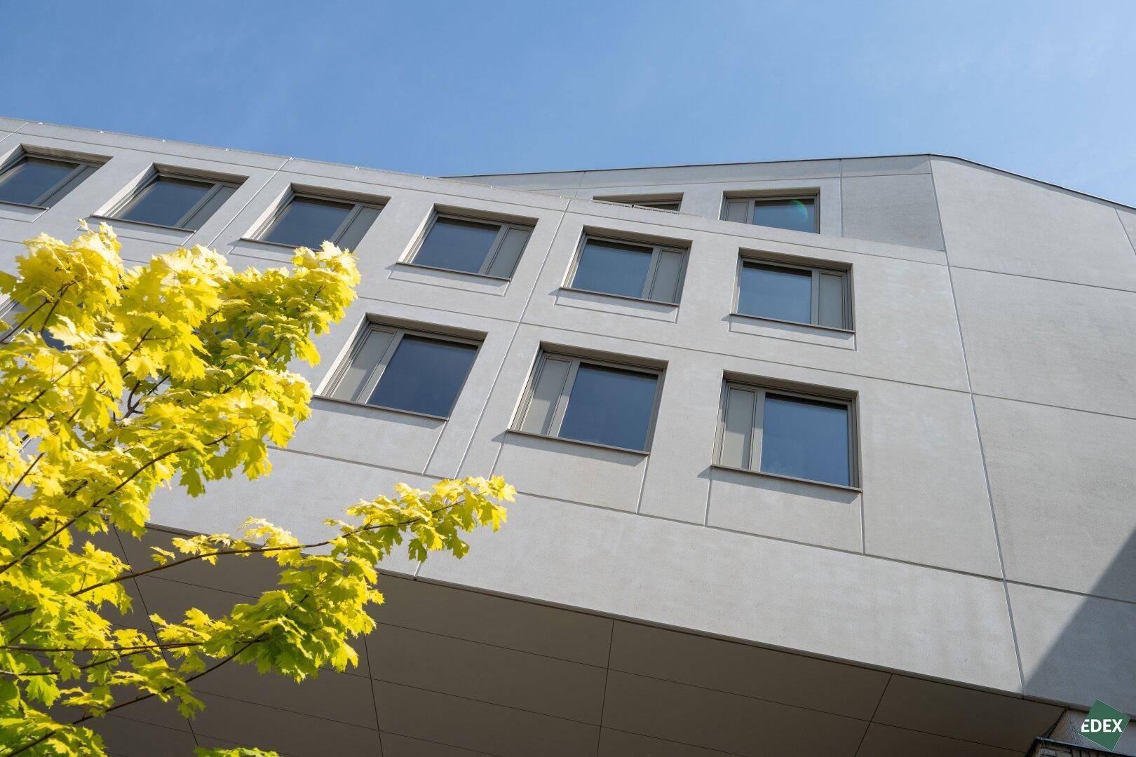 Detailansicht der modernen Gebäudefassade mit vielen Fenstern und einem gelb blühenden Baum.
