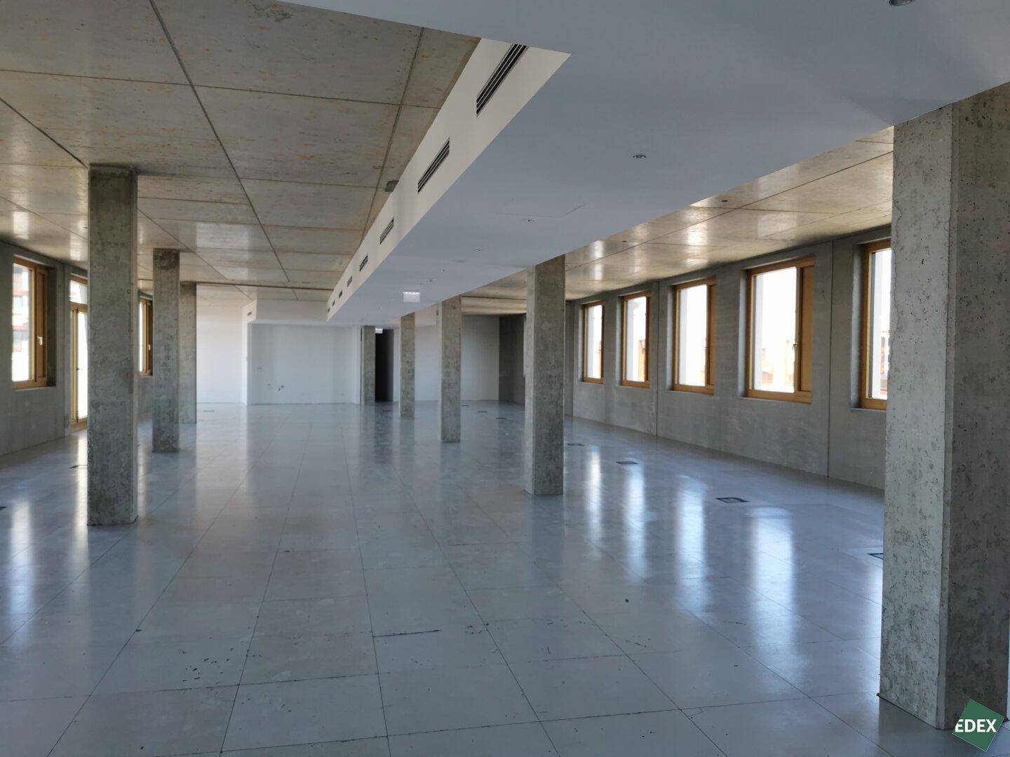 Großer, leerer Büroraum mit Sichtbetonstützen, Betondecke und vielen Fenstern für natürliches Licht.