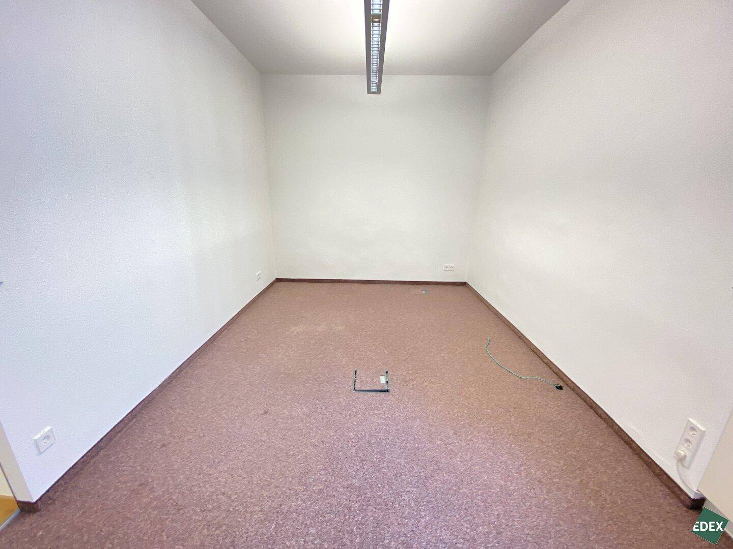 Leerer Büroraum mit braunem Teppichboden, weißen Wänden und moderner Deckenbeleuchtung.
