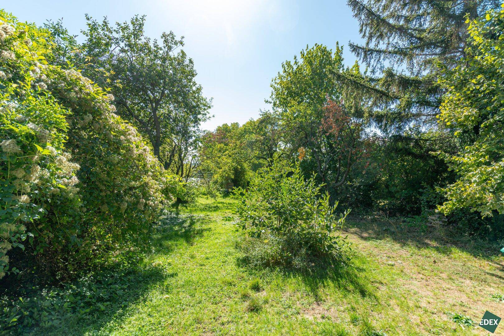 Naturbelassener Gartenweg, umgeben von dichtem Grün und hohen Bäumen unter strahlendem Himmel.