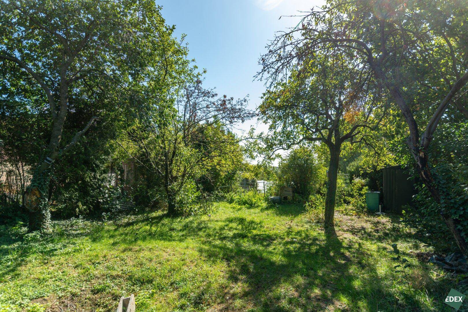 Grüner Gartenbereich mit Rasenfläche und mehreren Obstbäumen unter blauem Himmel.