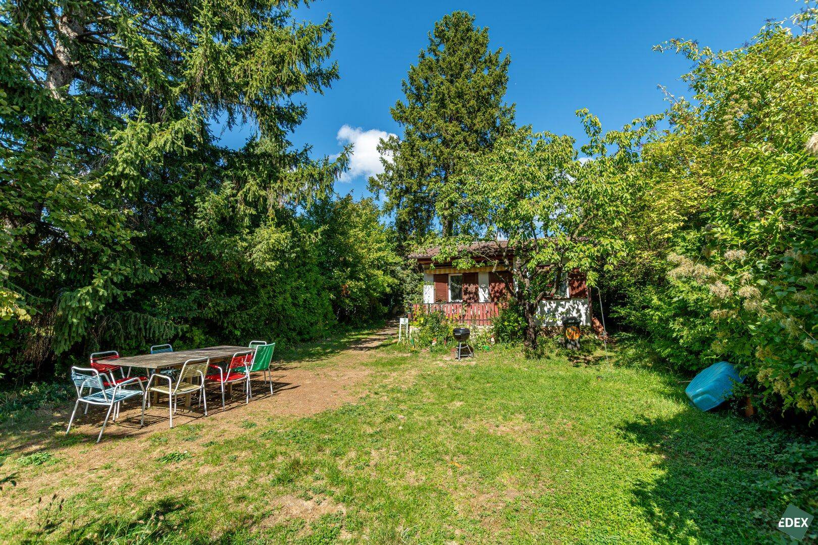 Weitläufiger Garten mit Sitzbereich und Grill, umgeben von hohen Bäumen und Sträuchern.