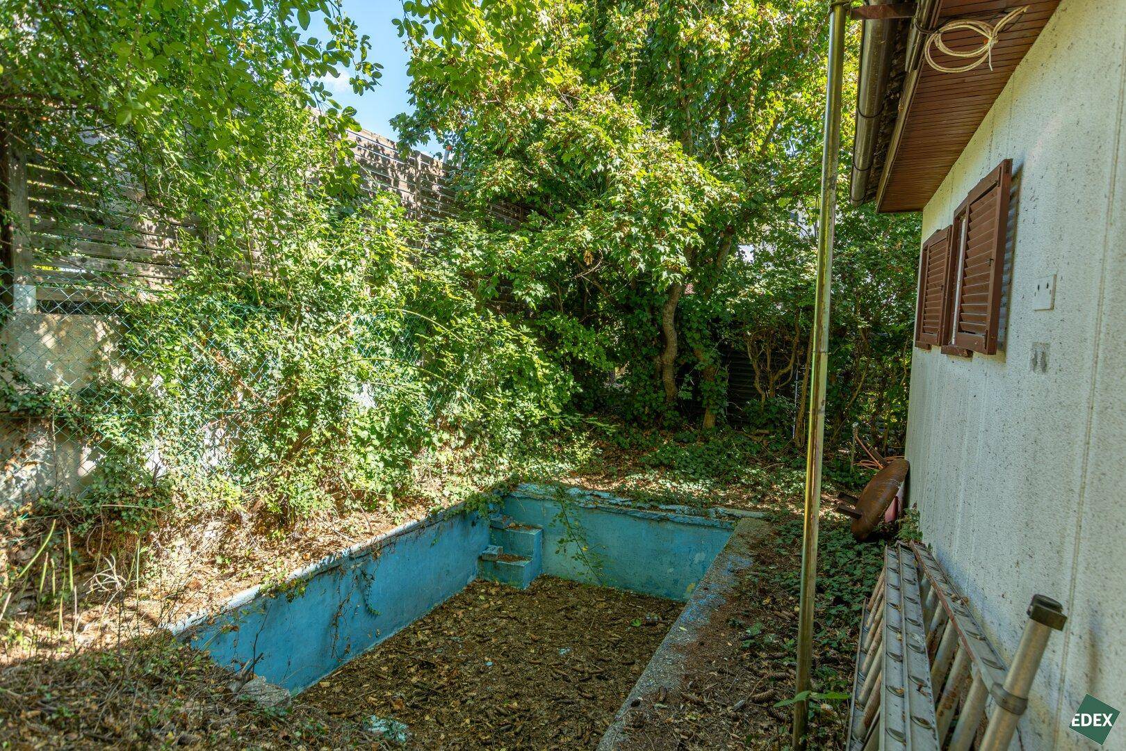Ungenutzter Poolbereich neben dem Haus, umgeben von dichter Vegetation und Bäumen.
