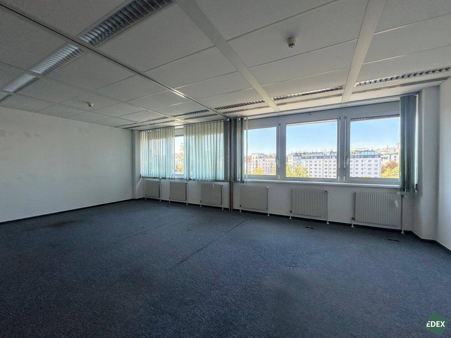 Weitläufiger Bürobereich mit vielen Fenstern, Vorhängen und blauem Teppichboden.