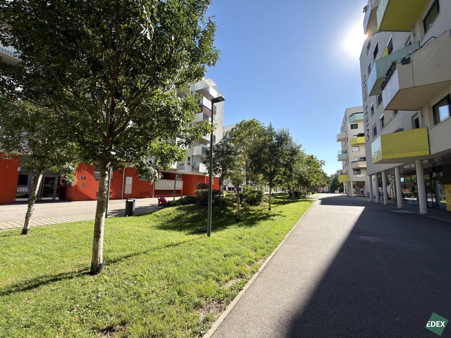 Sonniger Weg durch eine Wohnanlage, gesäumt von Bäumen und Grünflächen unter blauem Himmel.