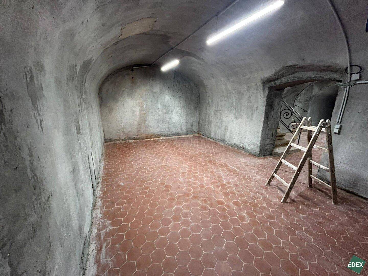 Ansicht des Kellerraums mit gewölbter Decke, Terrakotta-Boden und einer Holzleiter, die an der Wand lehnt.