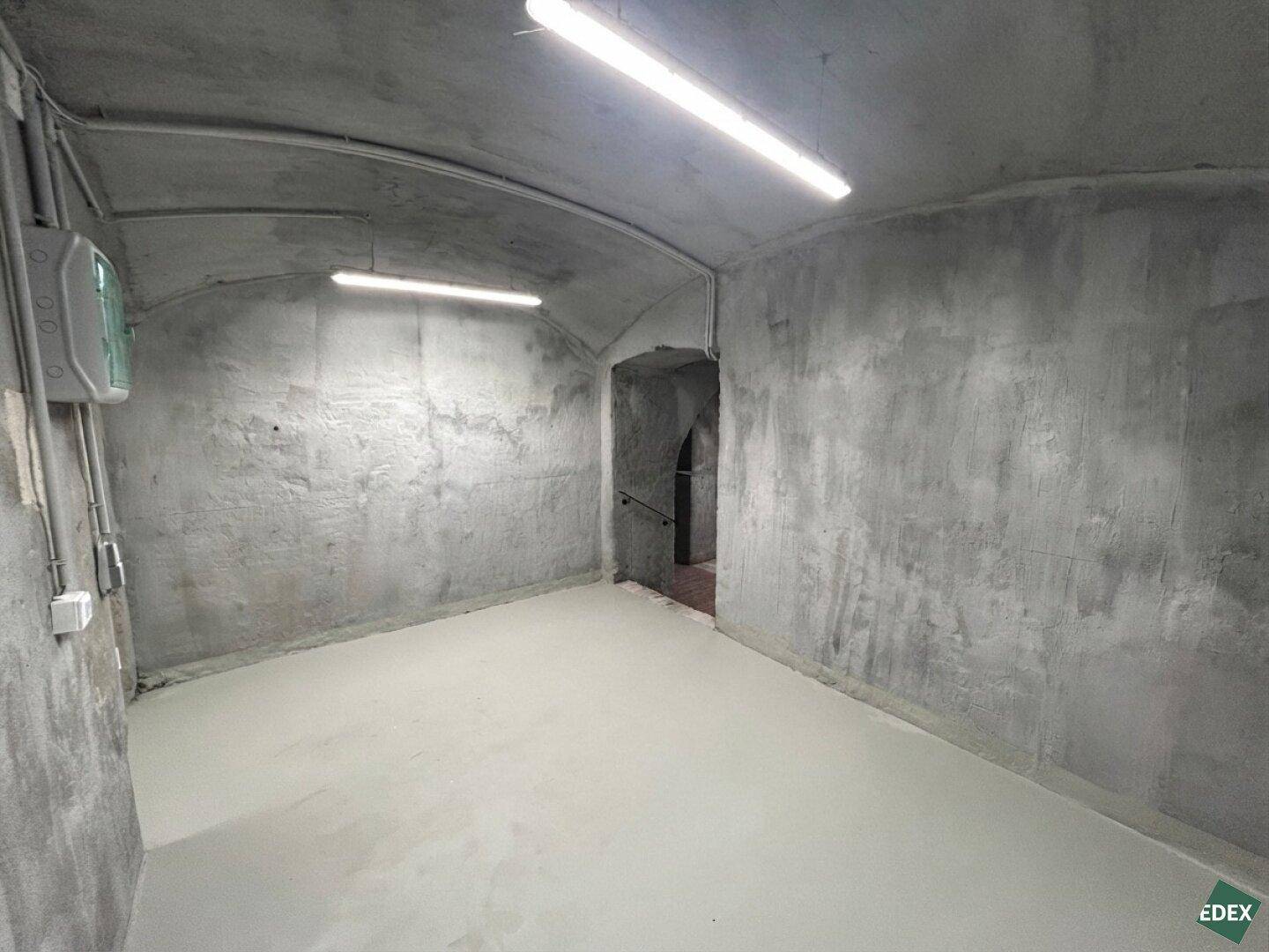 Renovierter Kellerraum mit gewölbter Decke, hellem Betonboden und sichtbaren Elektroinstallationen.