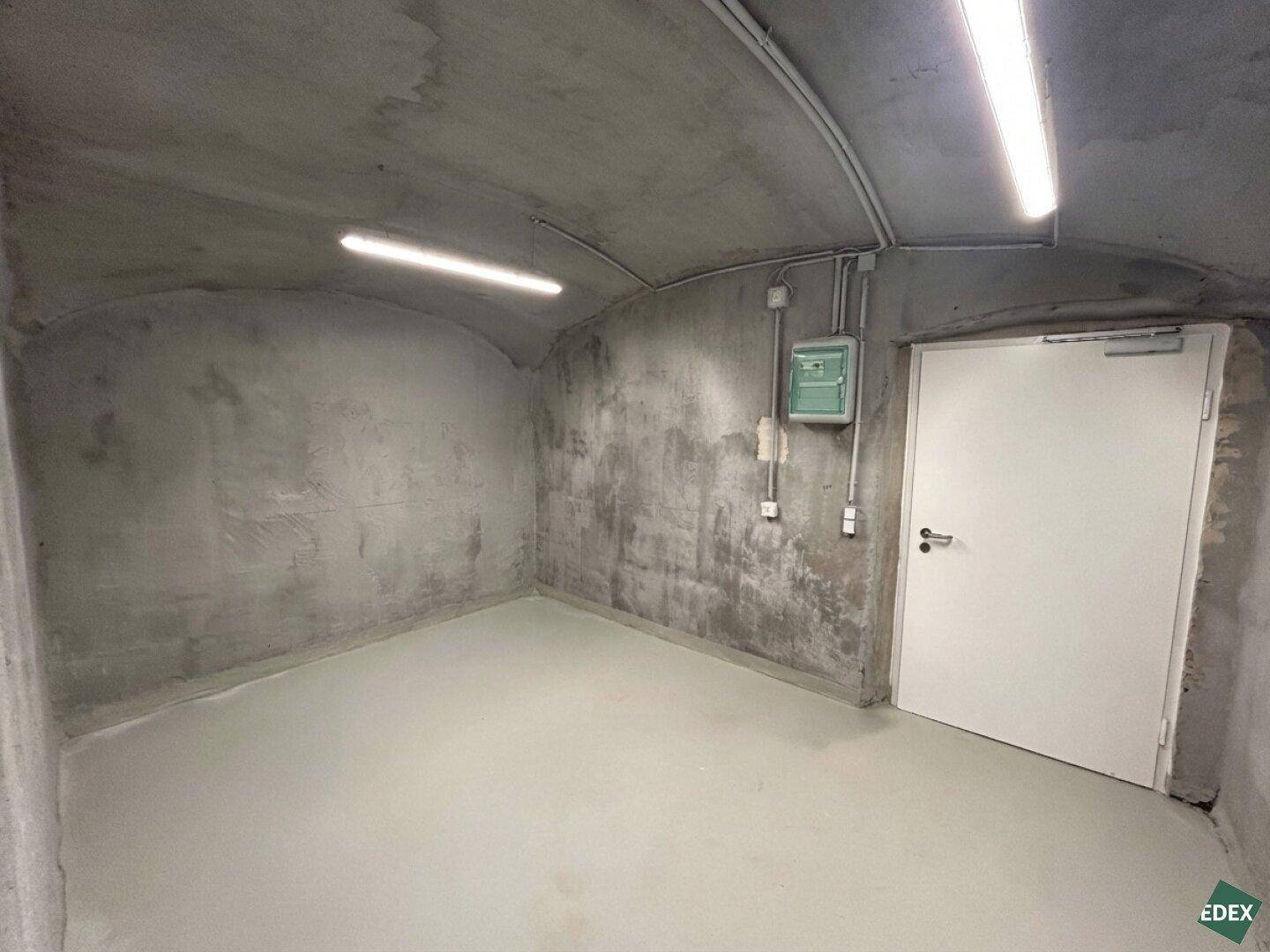 Kellerraum mit gewölbter Decke, hellem Betonboden und einer weißen Tür sowie Elektroinstallationen an der Wand.