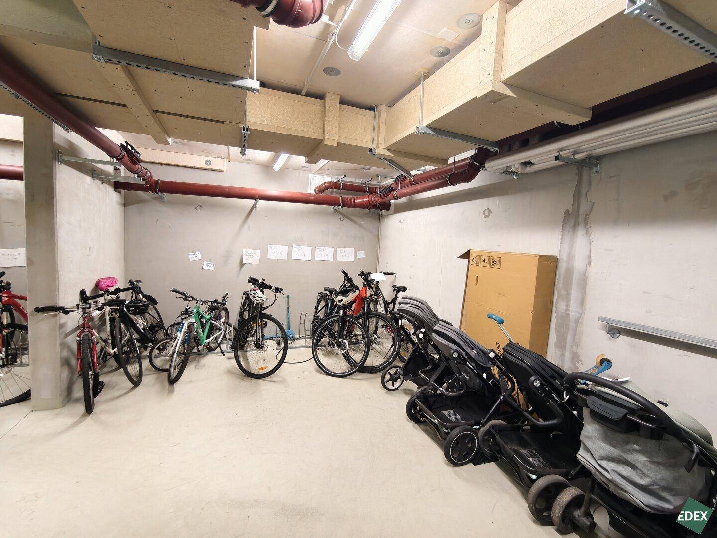 Gemeinschaftlicher Fahrradraum im Keller mit Abstellmöglichkeiten für Kinderwagen.