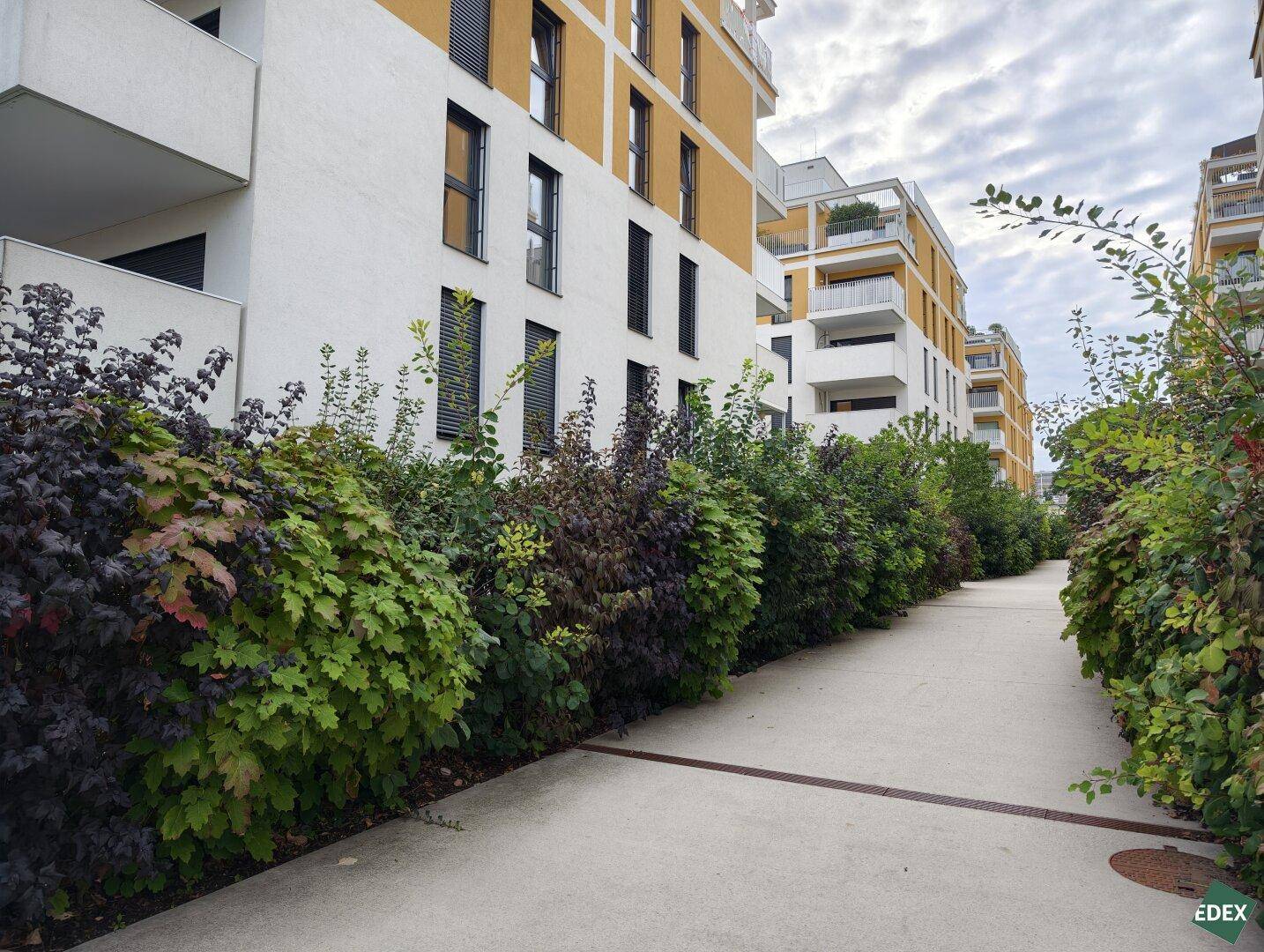 Außenansicht eines modernen Wohnkomplexes mit begrünten Wegen und Sträuchern.