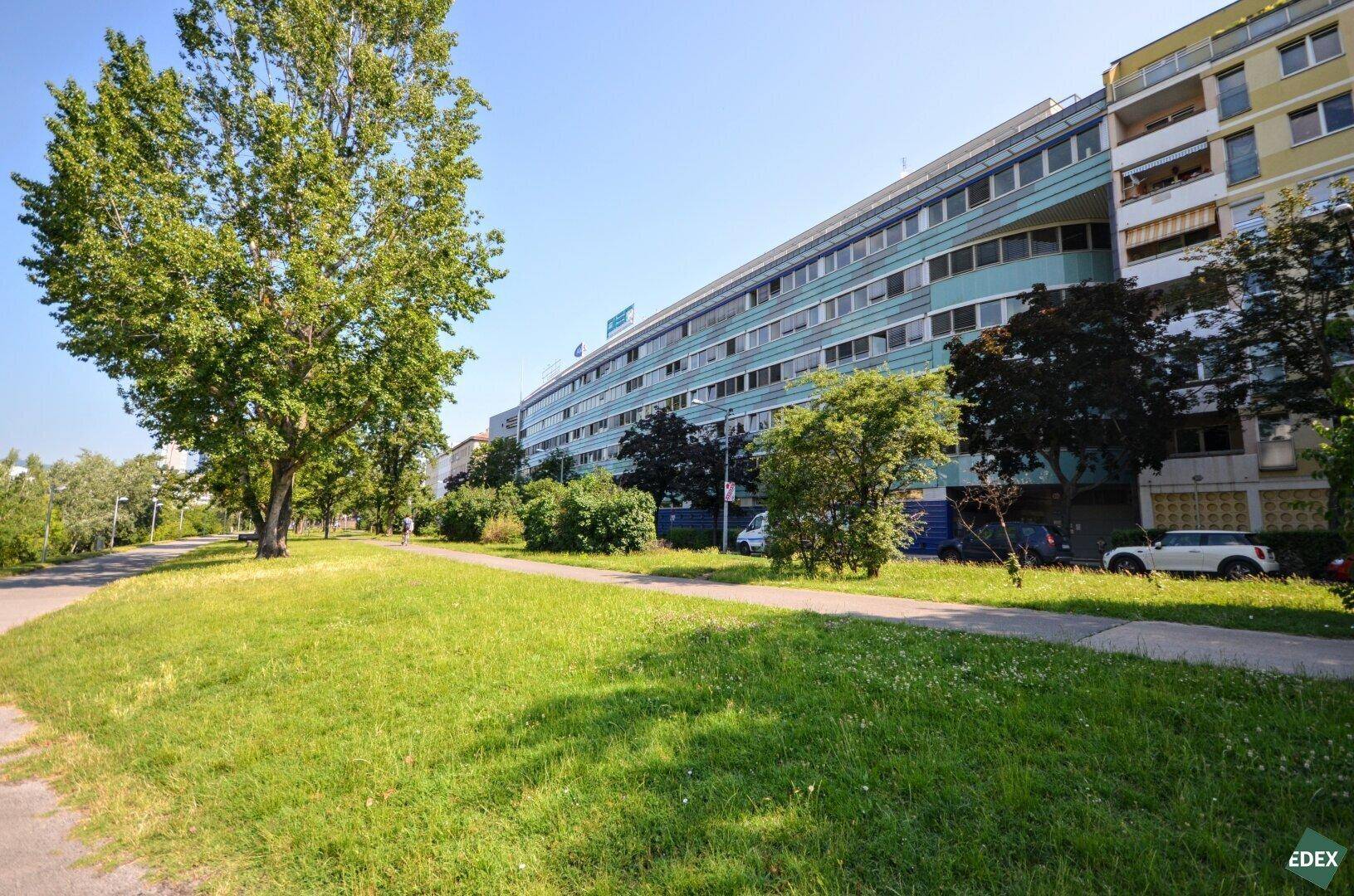 Weitläufige Grünfläche mit Bäumen vor einem modernen Bürokomplex unter strahlend blauem Himmel.