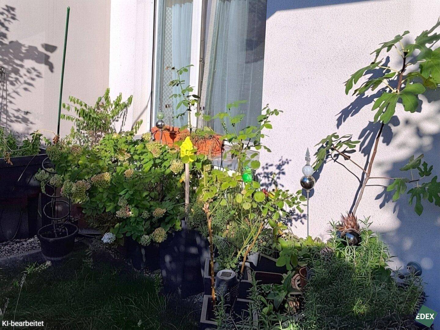 Kleiner, gepflegter Gartenbereich mit verschiedenen Pflanzen und Blumen.