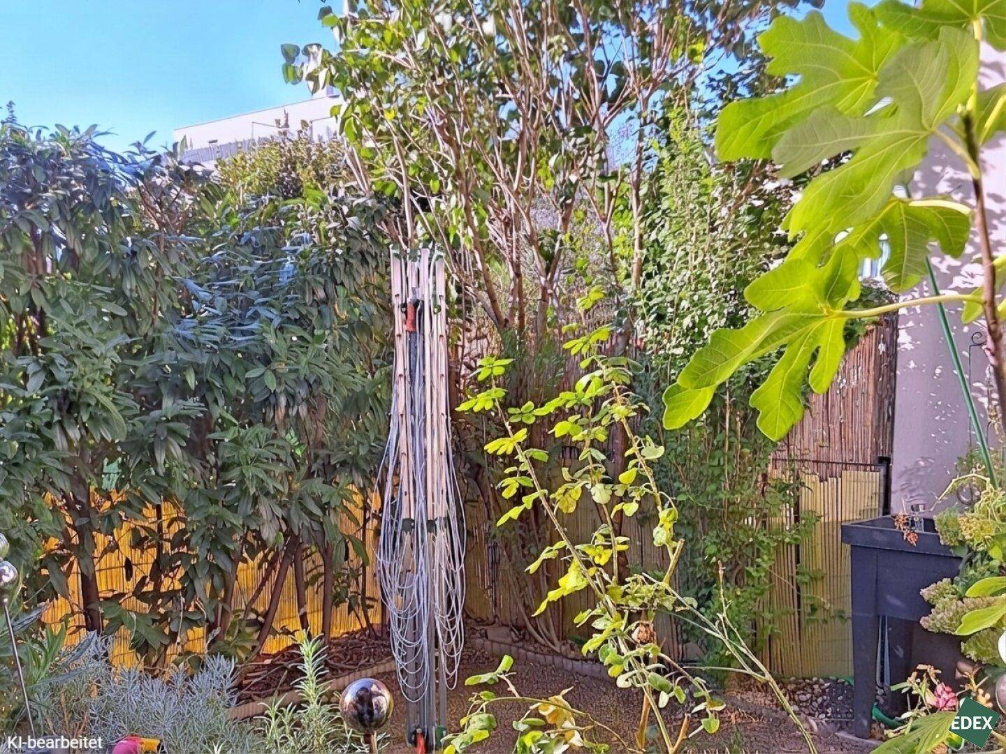 Grüner Gartenbereich mit verschiedenen Pflanzen und Sträuchern.