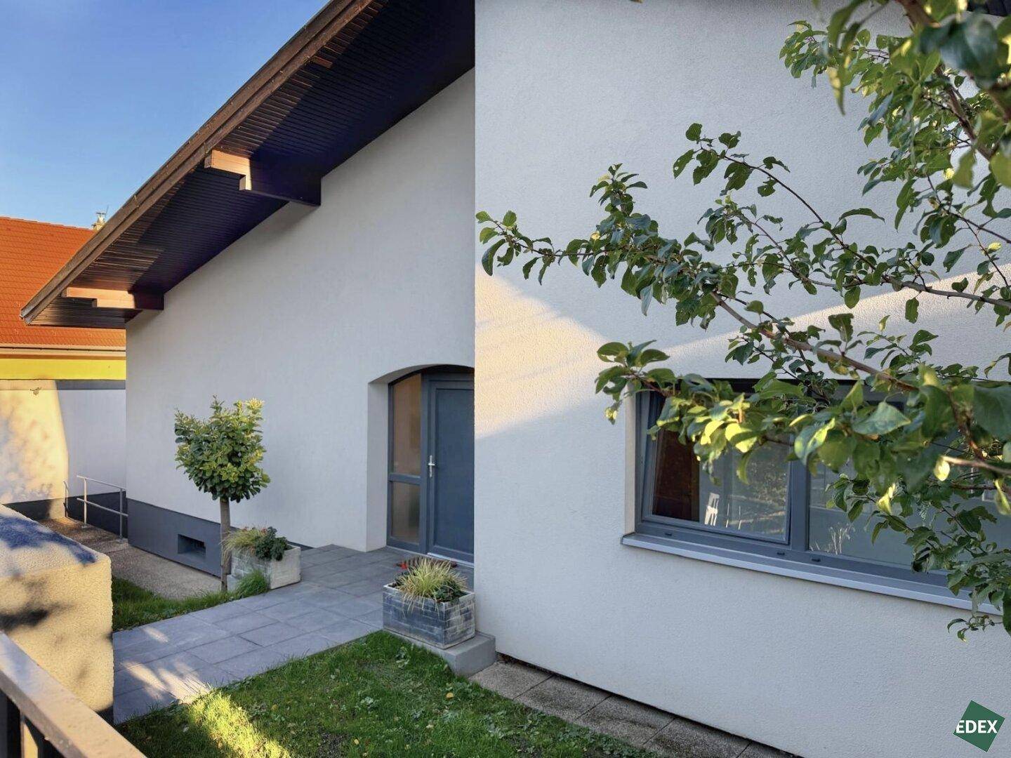 Seitenansicht des Hauses mit Eingangsbereich, kleinem Vorgarten und Baum.
