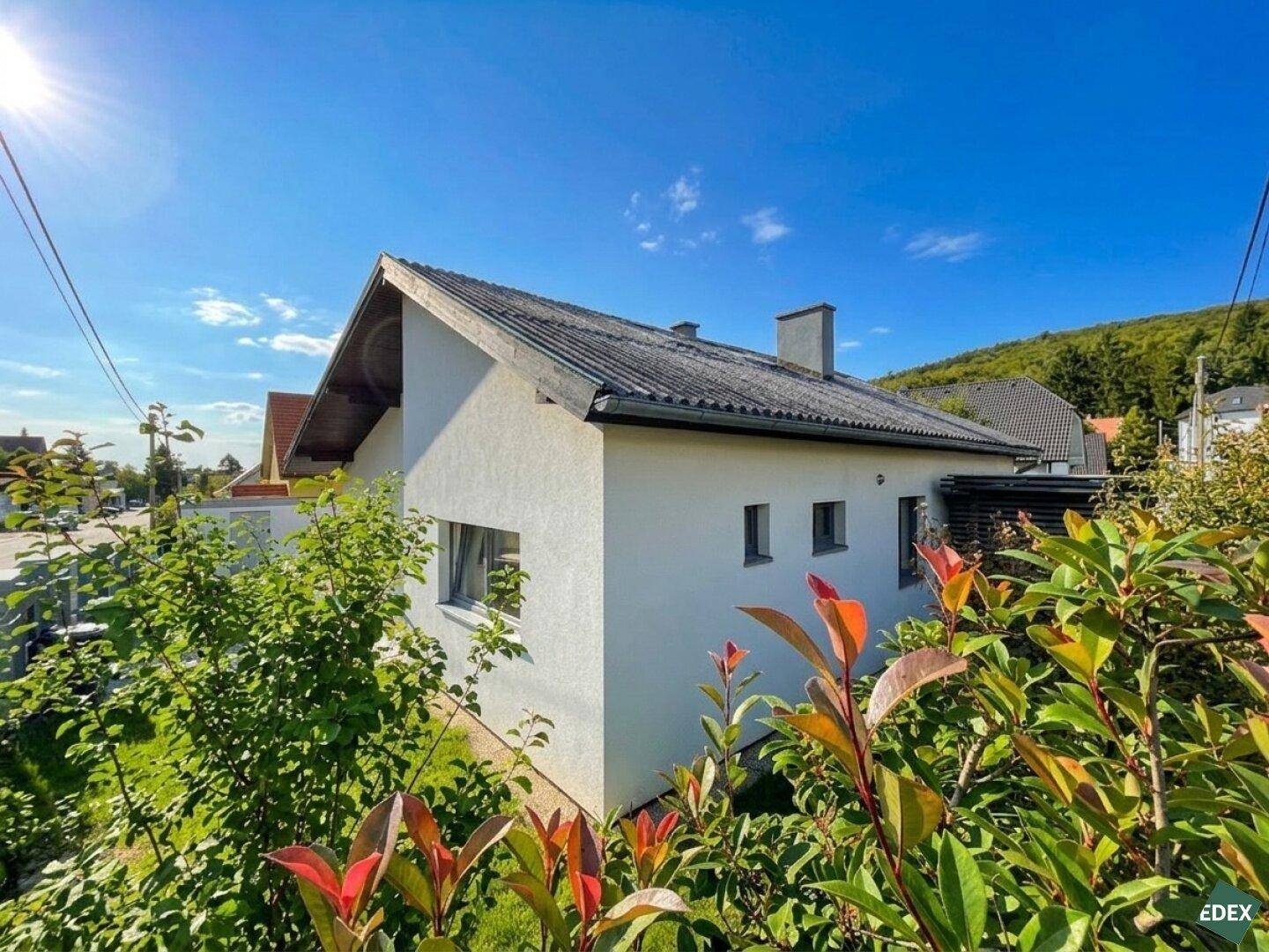 Rückansicht des Hauses vom Garten aus, umgeben von üppiger Vegetation und Sonnenschein.