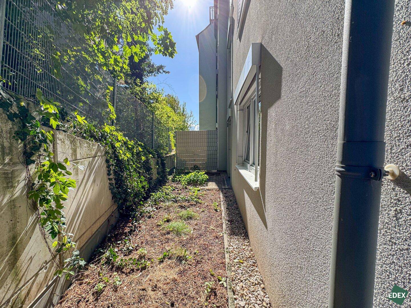 Schmaler Gartenbereich entlang der Hauswand mit Bewuchs und einem Zaun, der Privatsphäre bietet.