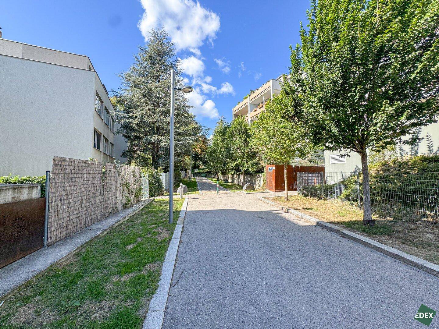 Ruhige Wohnstraße mit Bäumen und Mehrfamilienhäusern unter blauem Himmel.