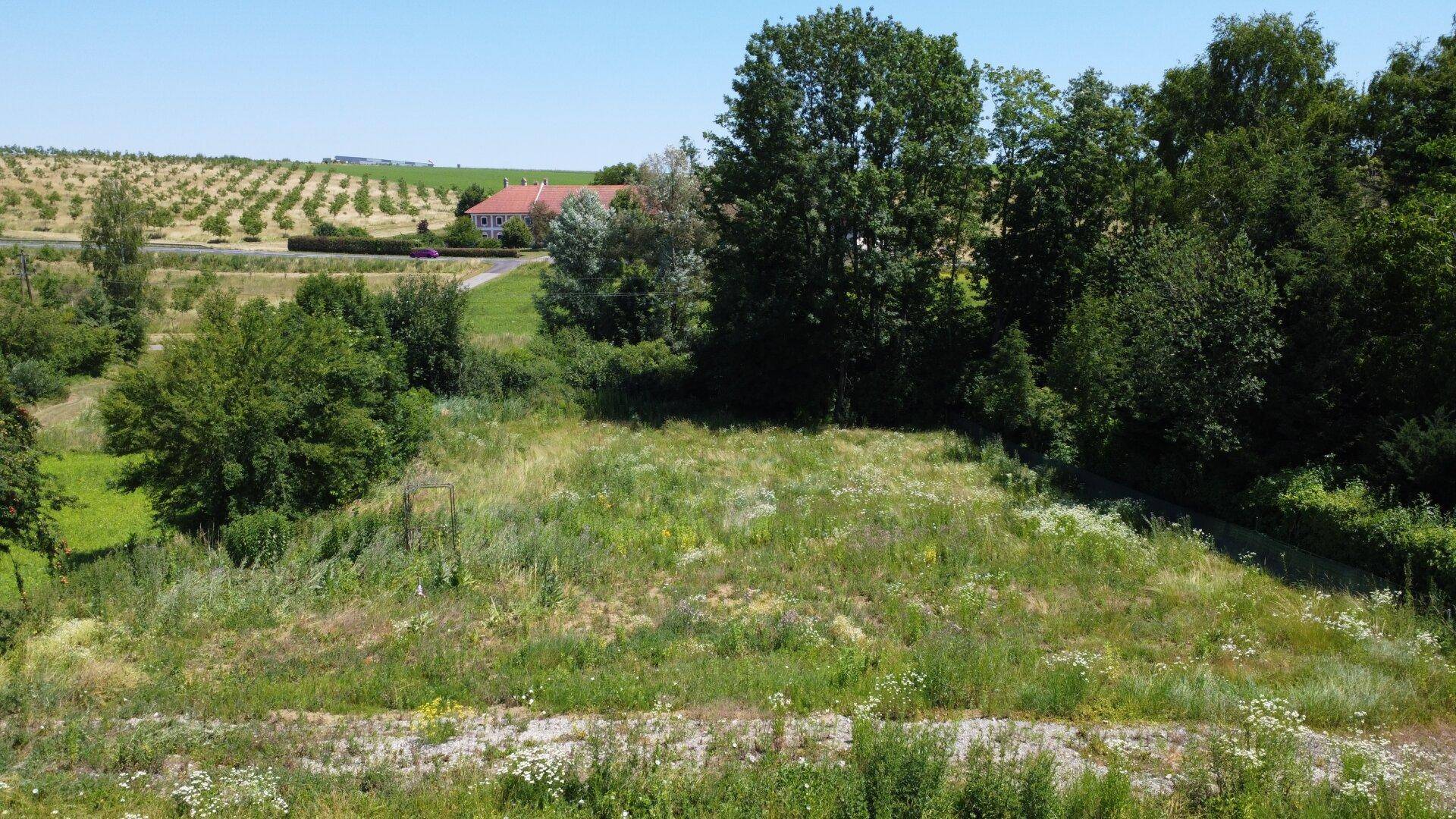 Luftaufnahme eines großen, grünen Grundstücks mit Bäumen und Sträuchern, ideal für ein neues Bauprojekt.