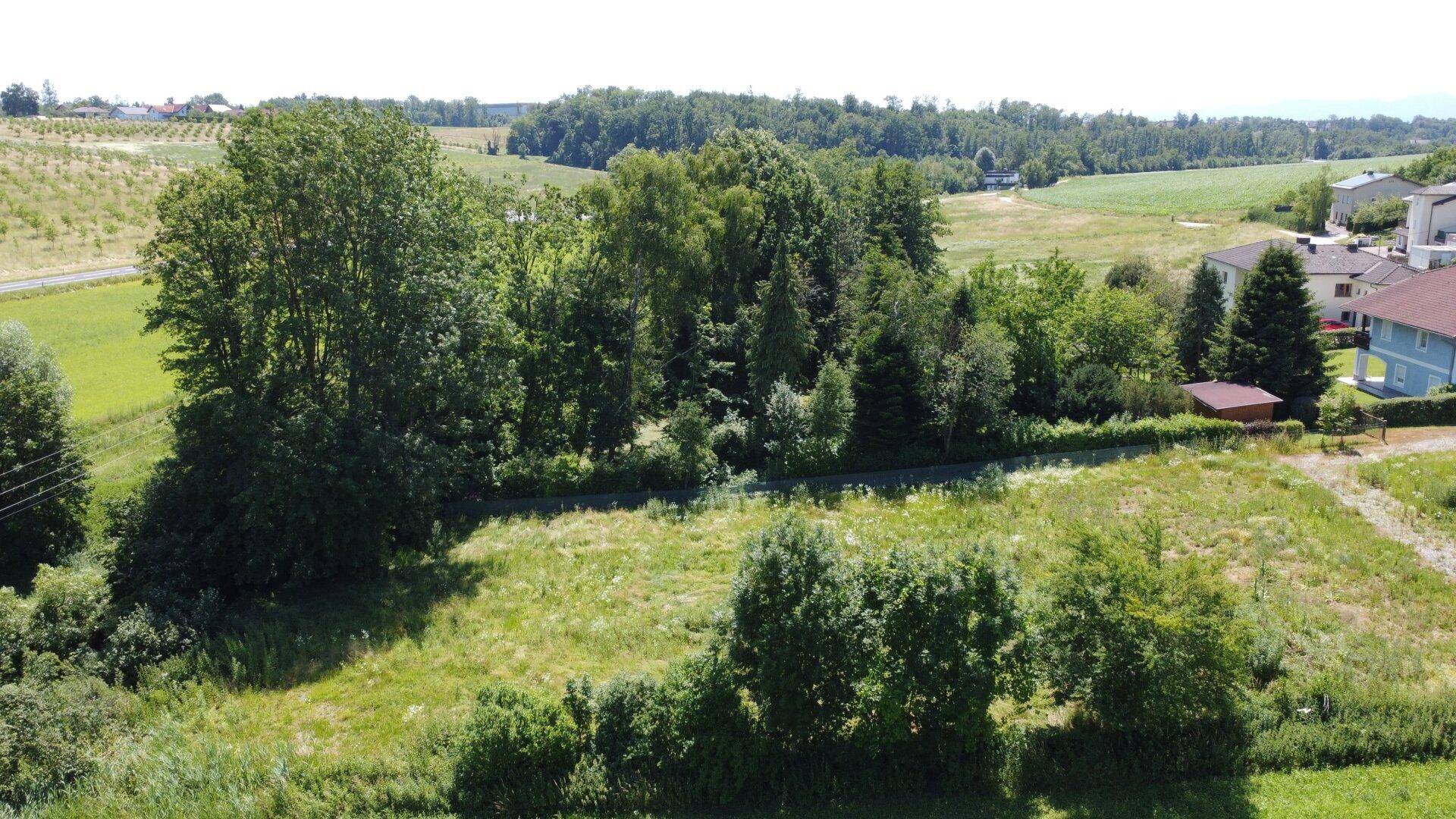 Süd-Ausrichtung (Fokus Grünland)