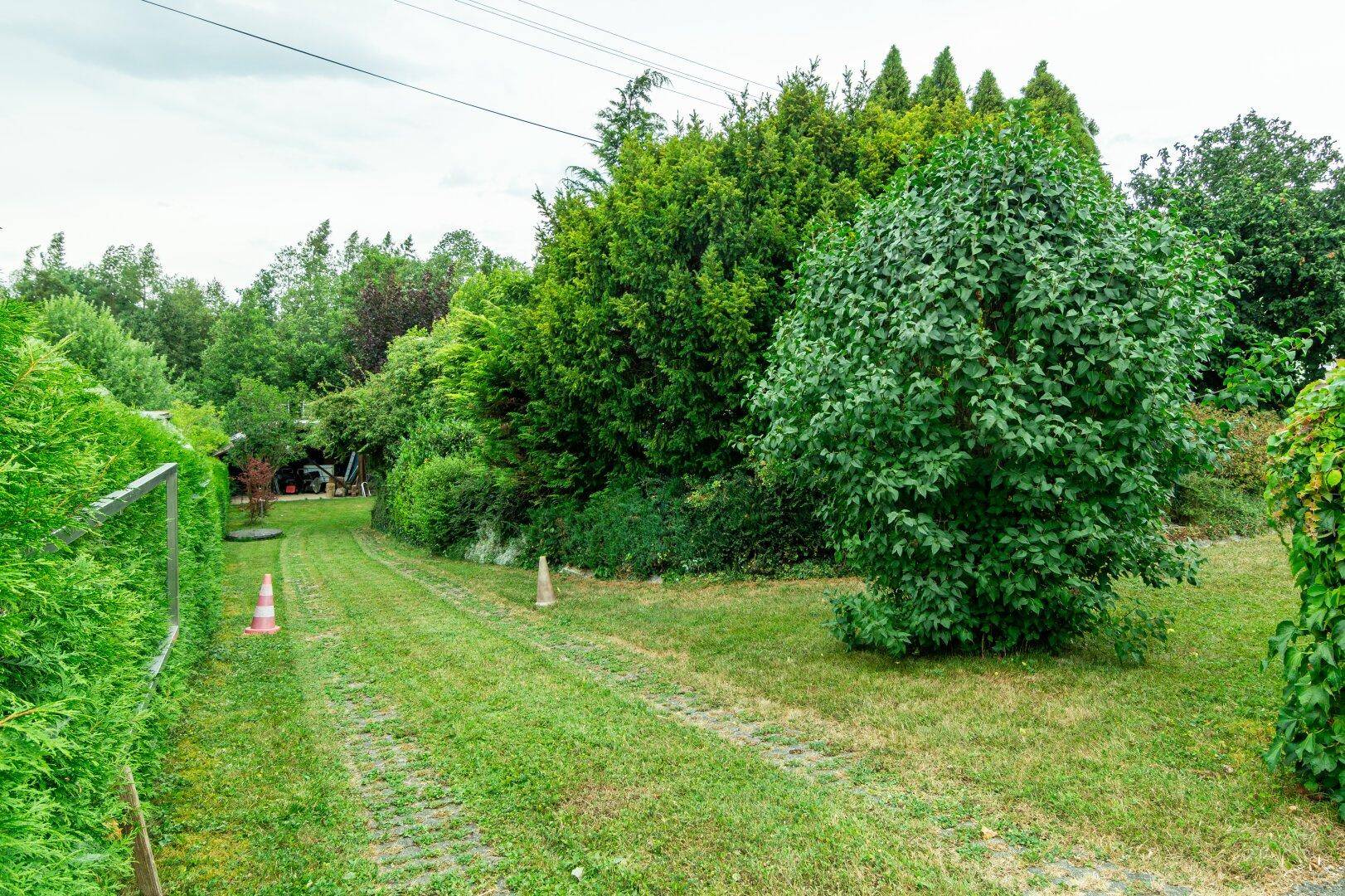 Grüner Gartenweg, gesäumt von Hecken und Bäumen, führt durch die weitläufige Anlage.