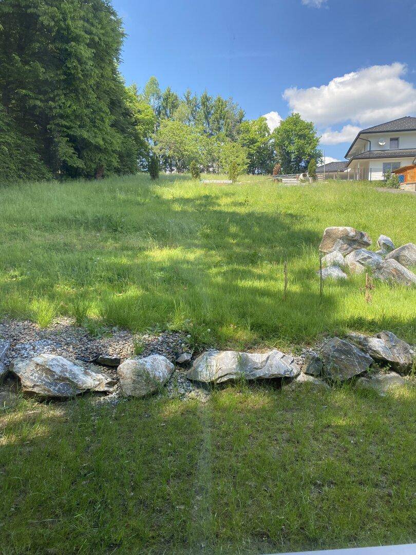 Grünblick