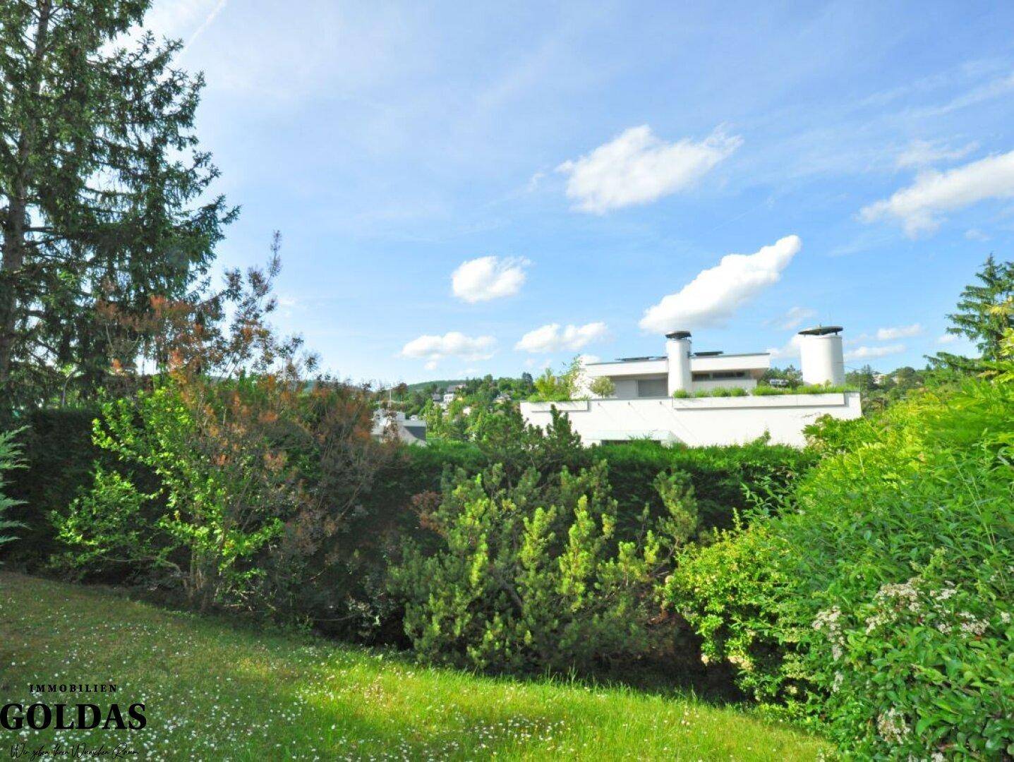 Ausblick Garten