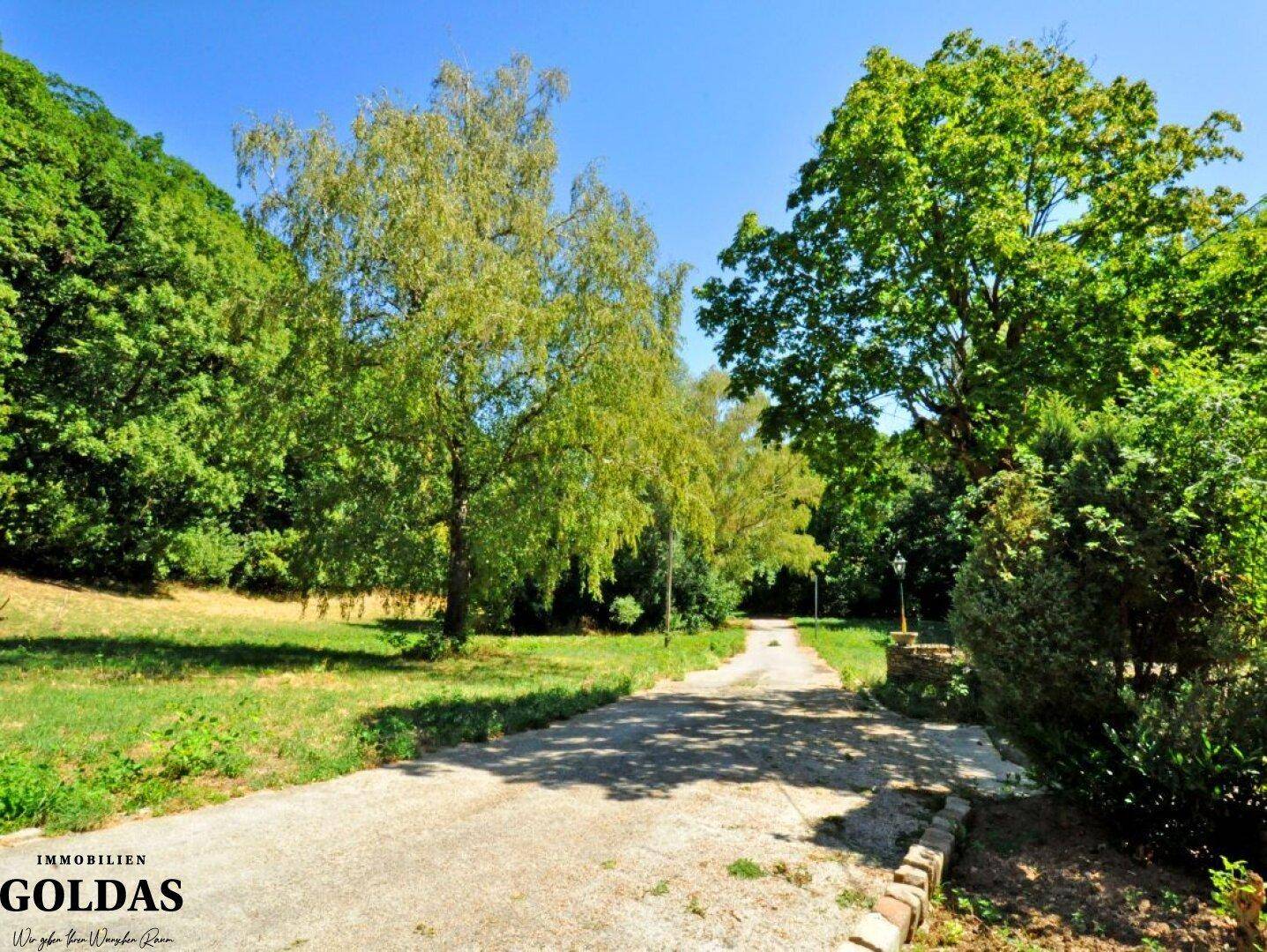 Schotterweg schlängelt sich durch eine grüne Wiese, gesäumt von hohen Bäumen unter blauem Himmel.