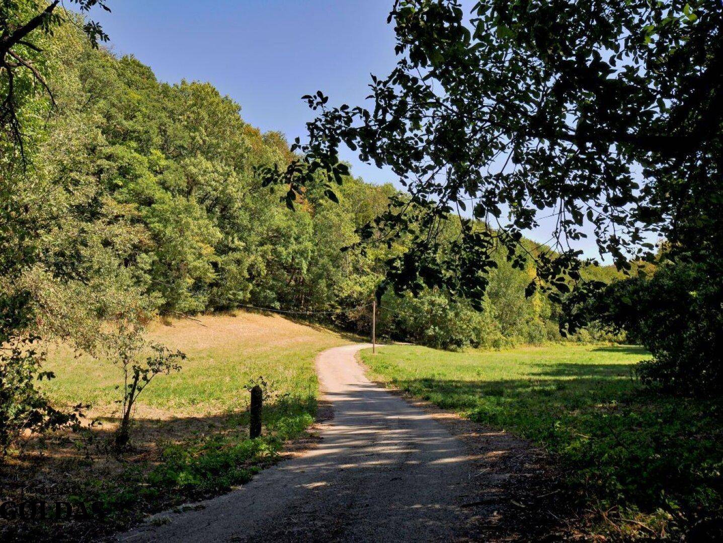 Weg führt durch eine offene Wiese, umgeben von Bäumen und bewaldeten Hügeln im Hintergrund.
