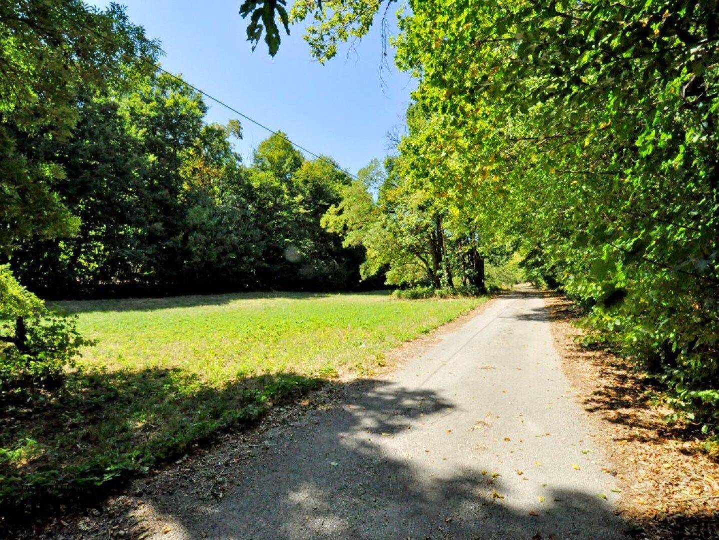 Breiter Weg neben einer großen grünen Wiese, umgeben von hohen Bäumen und viel Natur.