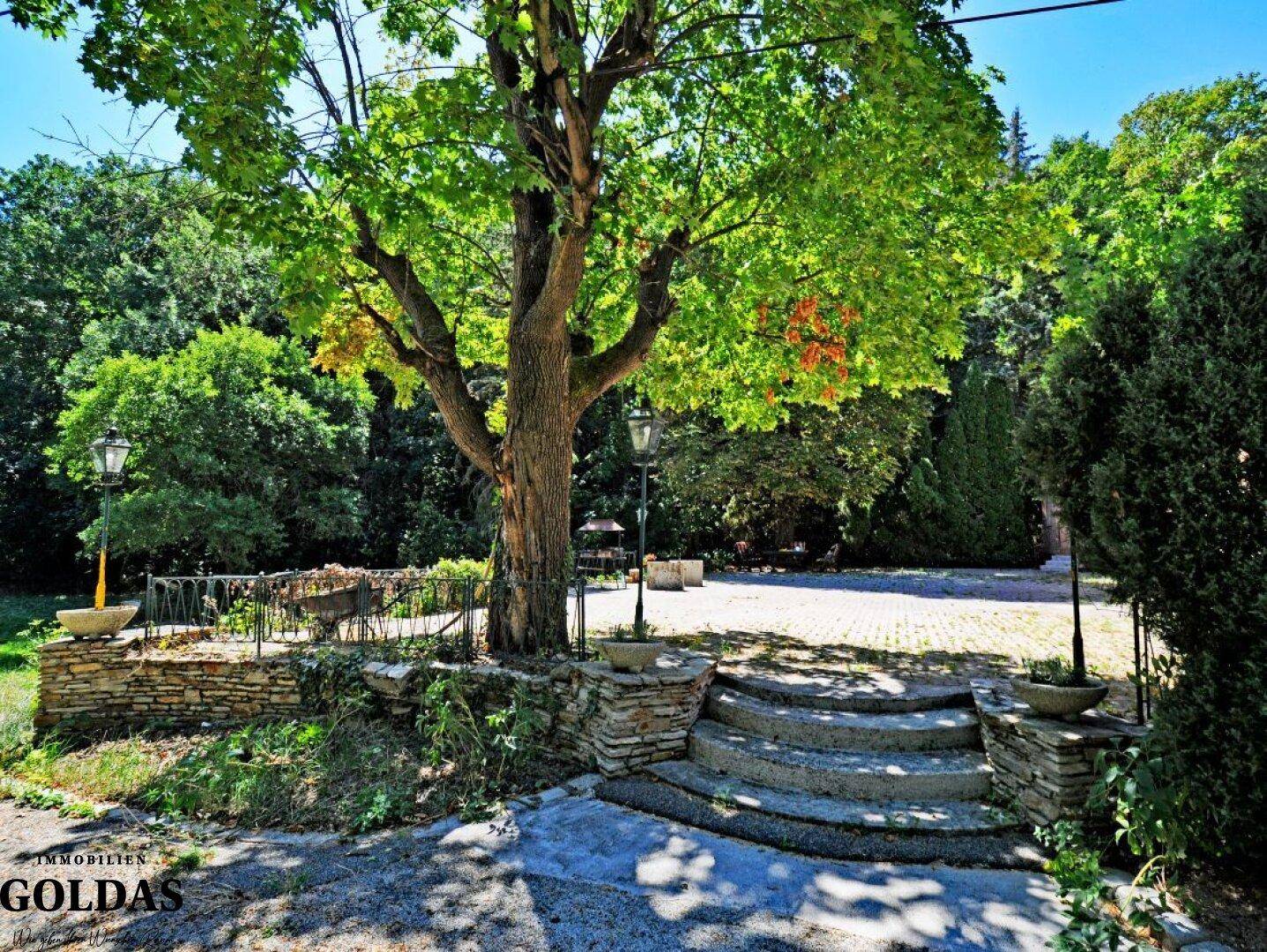 Gepflasterter Hofbereich mit einem großen Baum, umgeben von einer niedrigen Steinmauer und Laternen.
