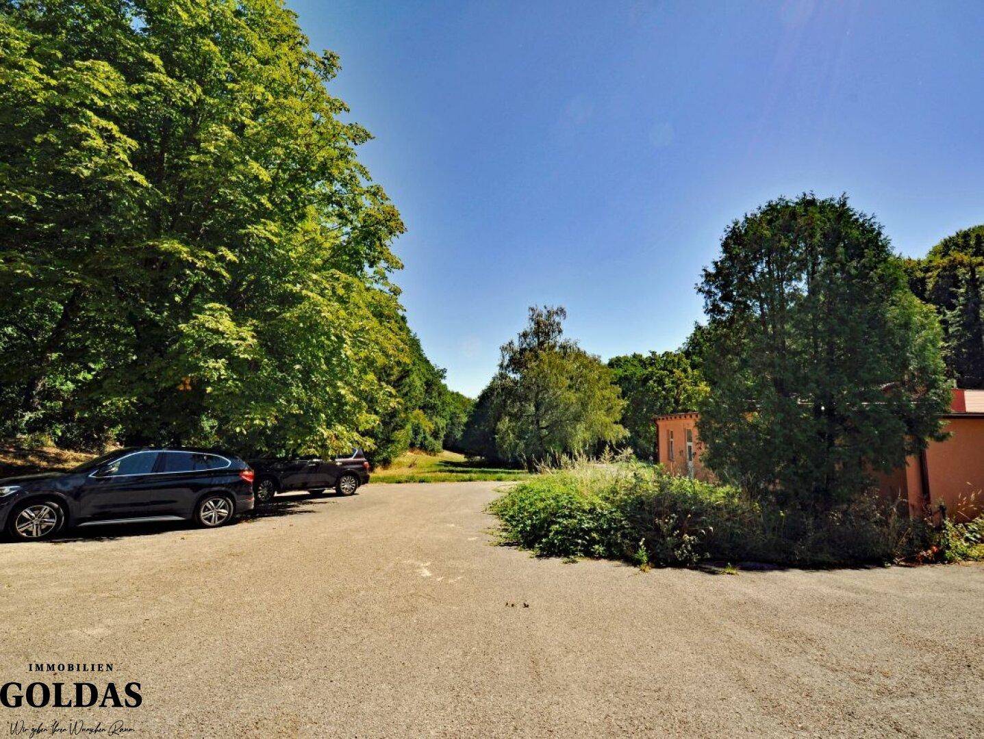 Großer gepflasterter Parkplatz mit mehreren Autos, umgeben von hohen Bäumen und Grünflächen.