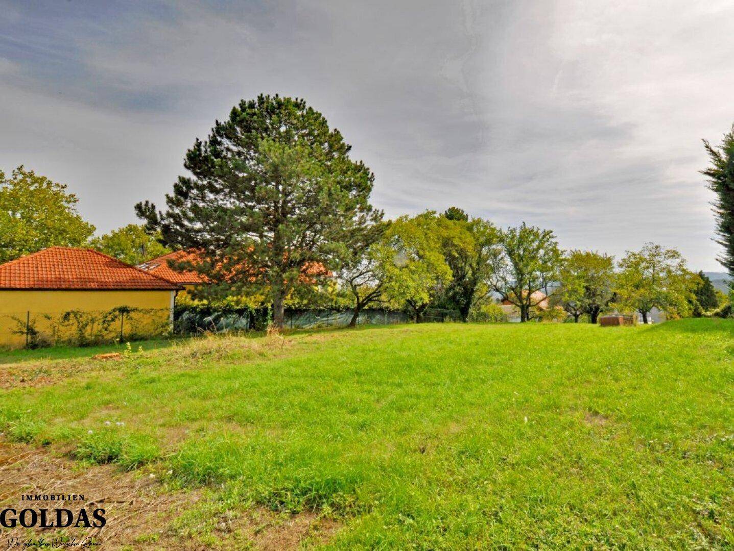 Offene Rasenfläche des Grundstücks mit Blick auf ein charmantes Haus und grüne Bäume am Horizont.