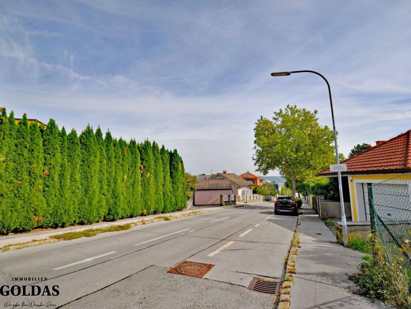 Ruhige Wohnstraße mit einer langen Hecke und Bäumen, die die Umgebung prägen.