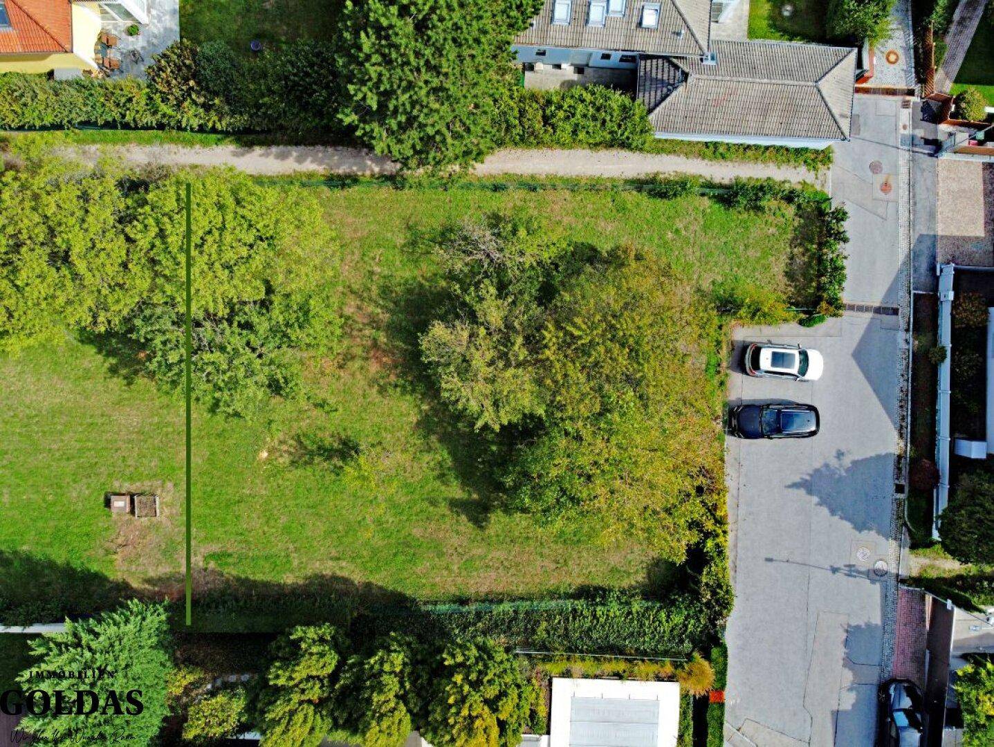 Vogelperspektive auf das weitläufige grüne Grundstück mit Bäumen und angrenzender Straße.
