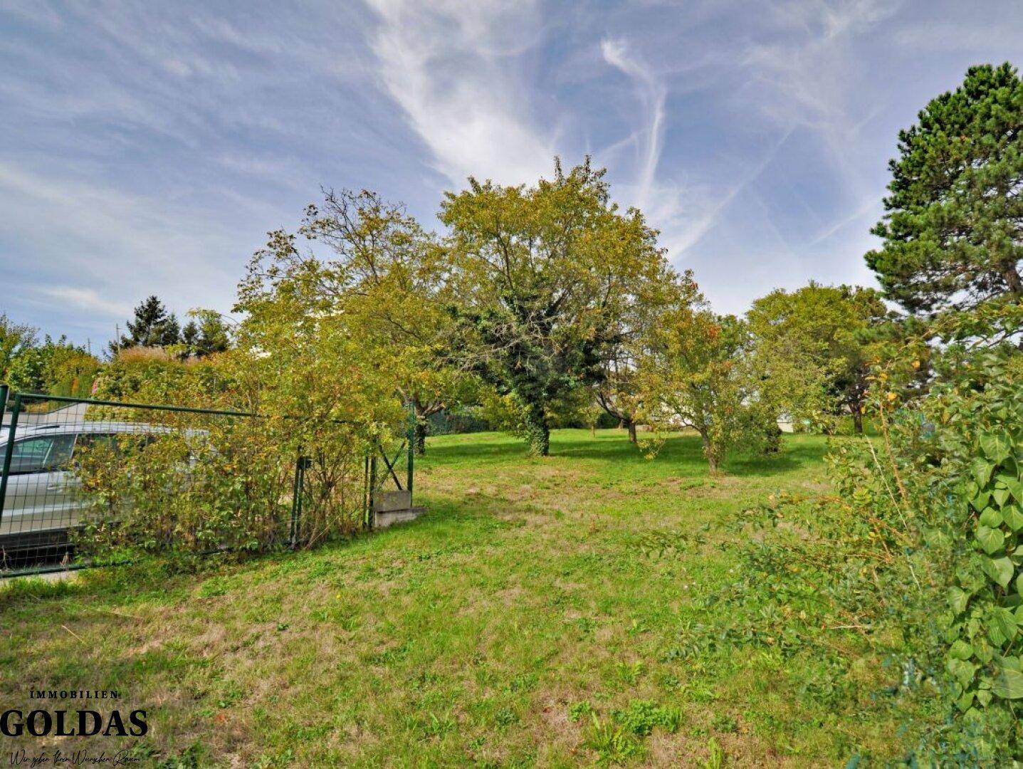 Grünes Gartengrundstück mit altem Baumbestand und weitem Himmel.