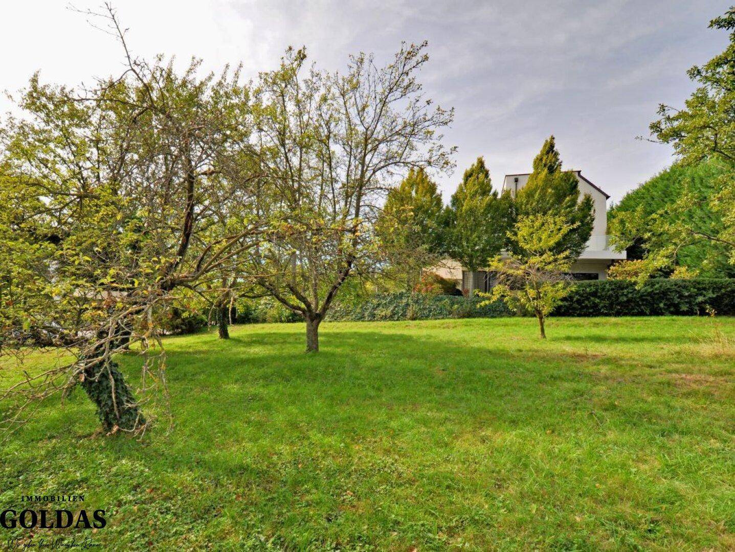 Ruhiges Gartengrundstück mit gepflegtem Rasen und hohen Bäumen im Hintergrund.