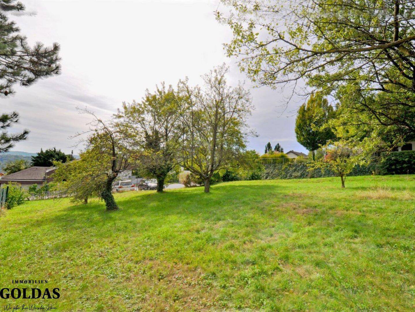 Weitläufiges Gartengrundstück mit sonniger Rasenfläche und Blick auf die Umgebung.