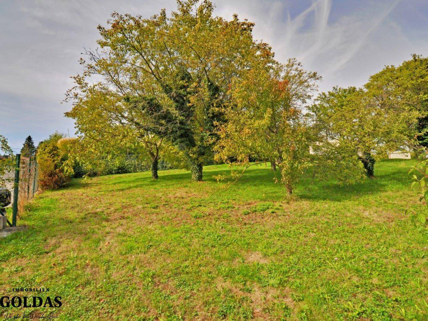 Naturbelassenes Gartengrundstück mit sanfter Hanglage und verschiedenen Bäumen.