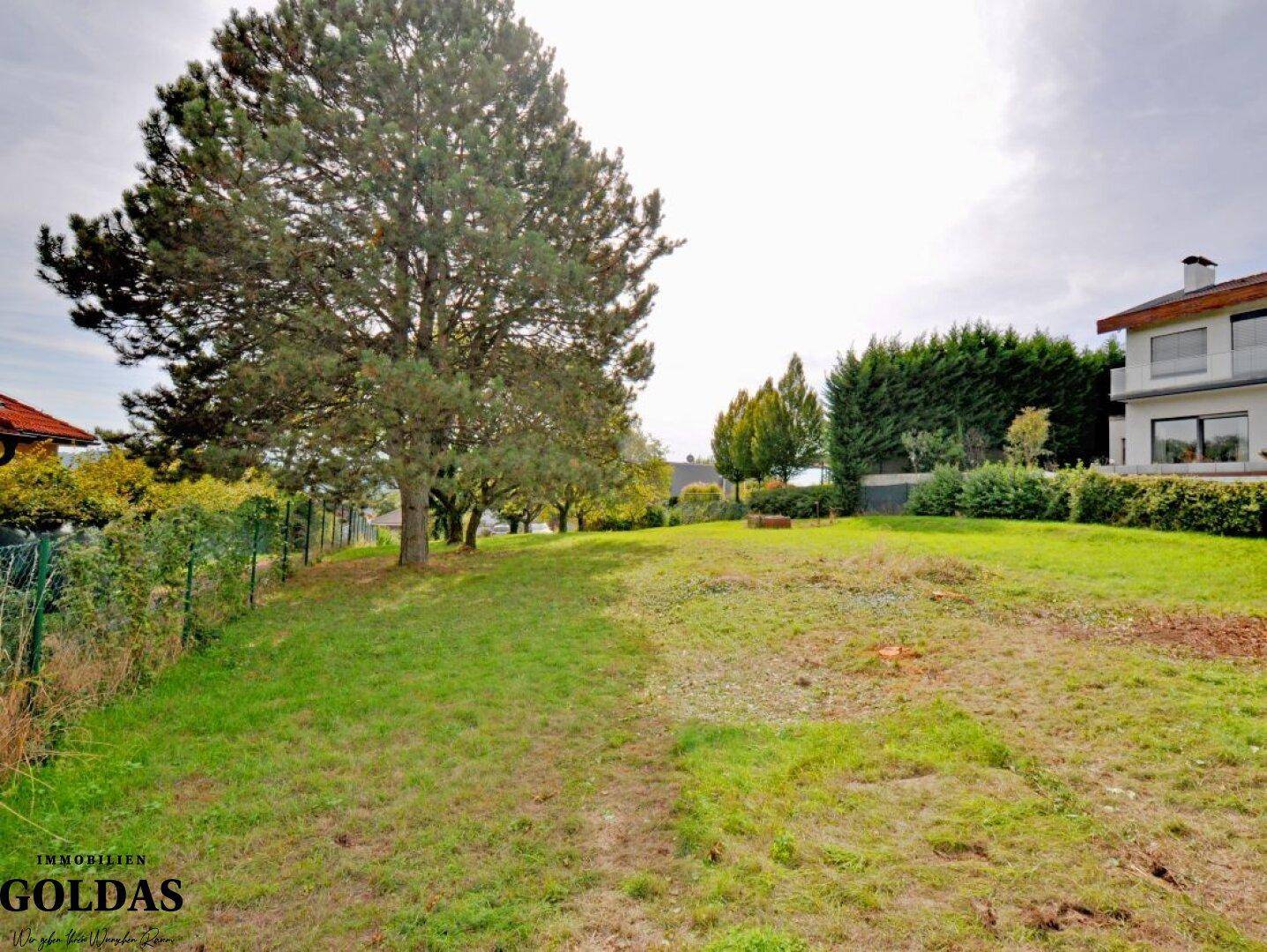 Weitläufige Grünfläche mit einem großen Baum und einem Wohnhaus im Hintergrund.