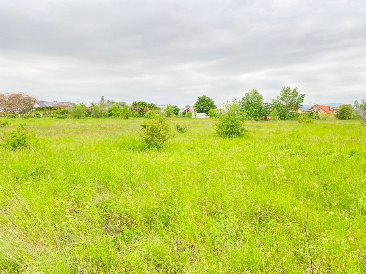 Weitläufige grüne Wiese mit vereinzelten Büschen und Blick auf die umliegende Landschaft und Häuser.
