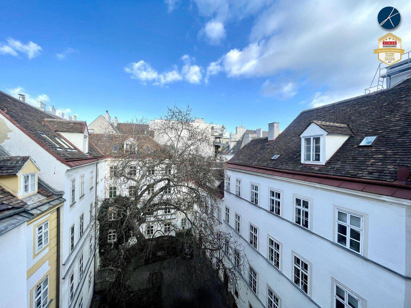 Blick von oben auf einen Innenhof mit einem großen, kahlen Baum und umliegenden Gebäuden.