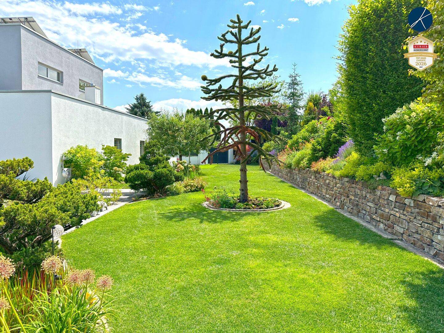 Gepflegter Garten mit großer Rasenfläche, markantem Baum und Steinmauer.