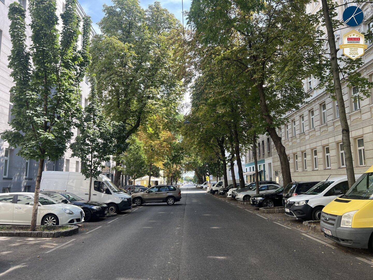 Ruhige Wohnstraße mit parkenden Autos und hohen Bäumen entlang des Bürgersteigs.