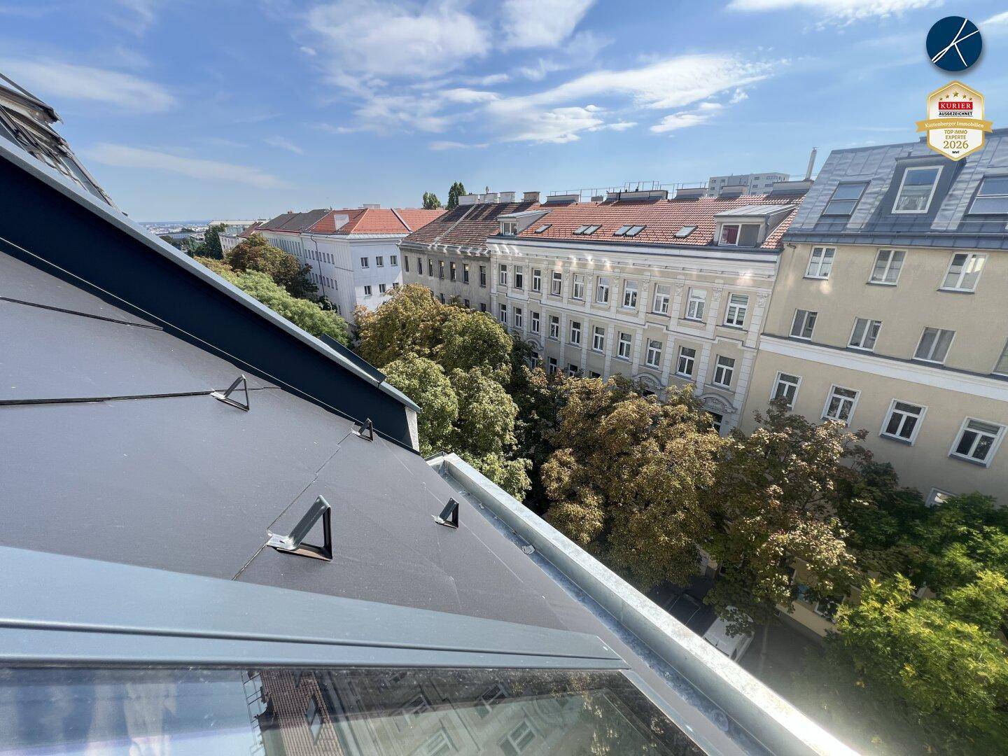 Blick über das Dach des Gebäudes auf die umliegende Stadtlandschaft und Bäume.