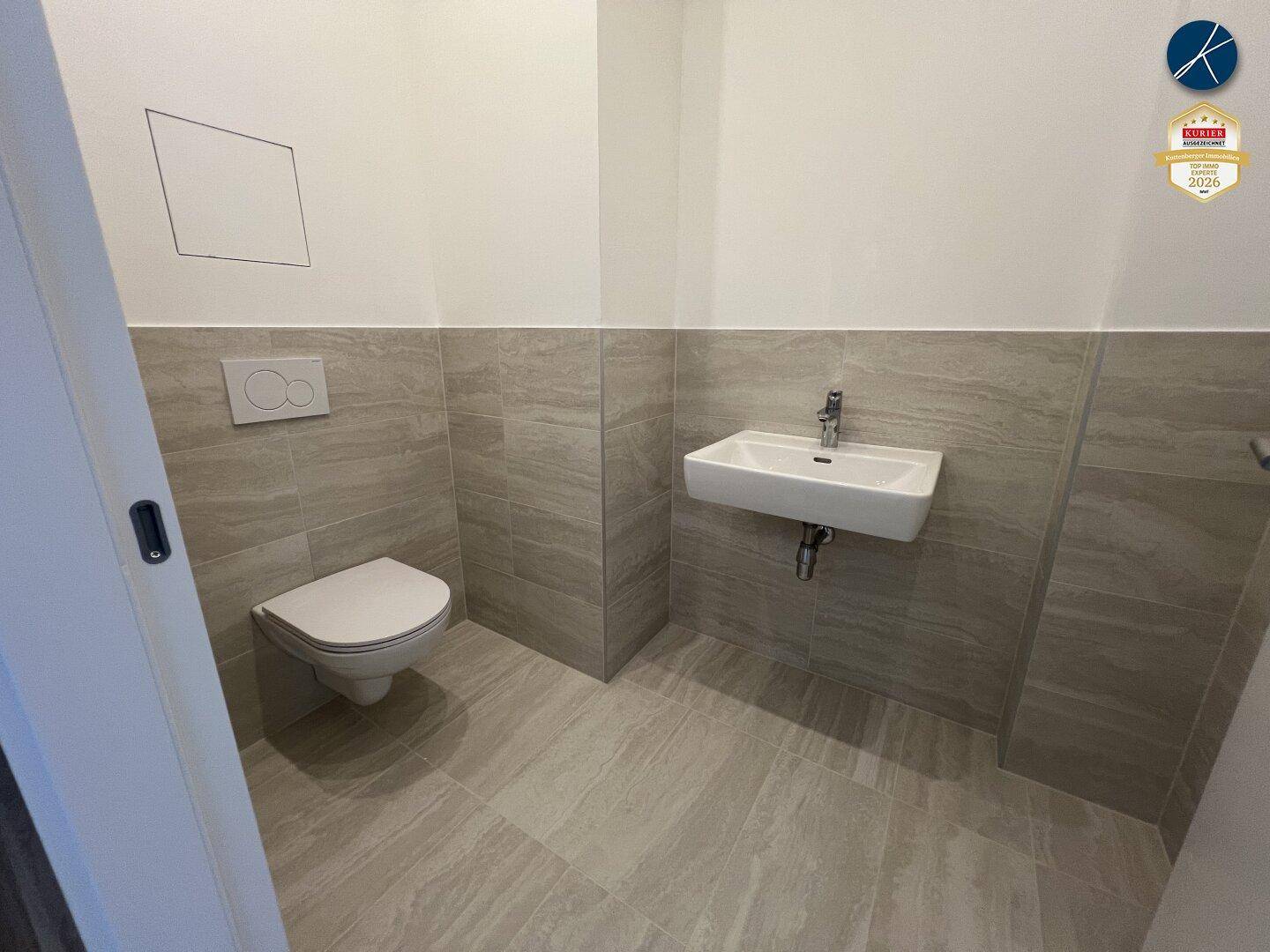 Modernes Gäste-WC mit grauen Fliesen, wandhängendem WC und kleinem Waschbecken.
