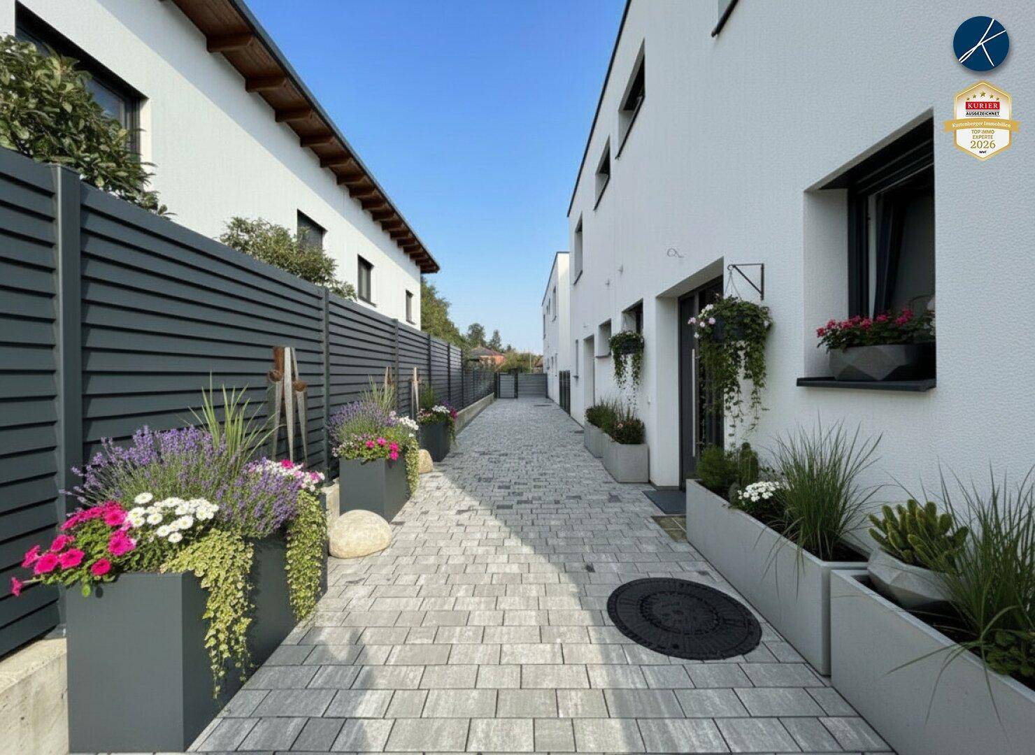 Gepflasterter Weg zwischen zwei modernen Häusern, gesäumt von dekorativen Pflanzenkübeln und einem Sichtschutzzaun.